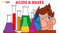 ACID and BASES 1 (1).pptx